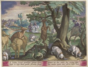 Hirschjagd mit Hunden von Jan Collaert