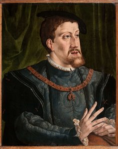 Porträt des Kaisers Karl V. 1500-1558 von Jan Cornelisz. Vermeyen