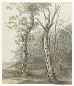 Waldlandschaft von Jan Dasveldt