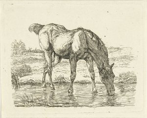 Trinkendes Pferd von Jan Dasveldt