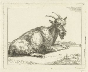 Ziege von Jan Dasveldt