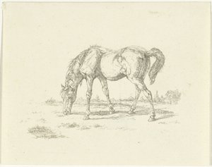 Weidendes Pferd nach rechts von Jan Dasveldt