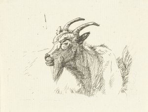 Liegende Ziege von Jan Dasveldt