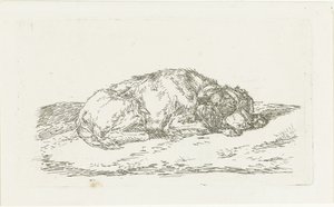 Schlafender Hund mit Kopf auf den Vorderpfoten ruhend von Jan Dasveldt