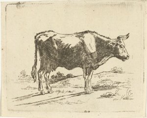 Stehende Kuh von Jan Dasveldt