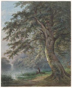 Angler unter großem Baum am Teich