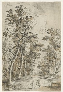 Waldweg