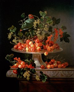 Ein Stillleben mit Kirschen und Johannisbeeren mit einem Papagei