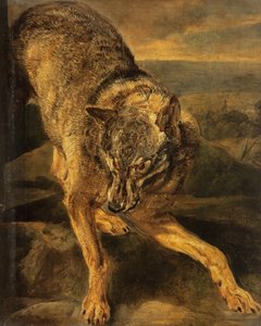 Ein Wolf von Jan Fyt