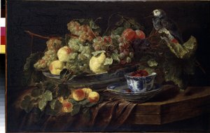 Stillleben mit Früchten und Papagei von Jan Fyt