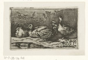 Vier Enten am Wasser von Jan Gerard Smits