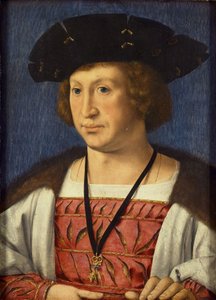 Floris van Egmond, Graf von Buren, 1536