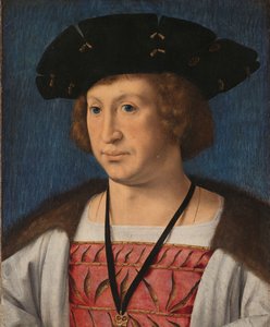 Floris van Egmond (1469-1539), Graf von Buren und Leerdam