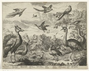 Verschiedene Vögel in einer Landschaft von Jan Griffier (I) (copy after)