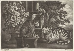 Affe, Katze, Eichhörnchen und Elster von Jan Griffier (I)