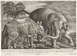 Elefant und Nashorn von Jan Griffier (I)