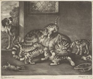 Katze mit fünf Jungen