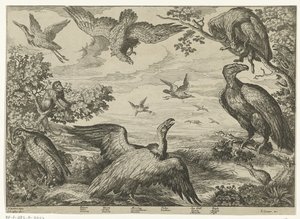 Verschiedene Vögel und ein Affe von Jan Griffier (I)