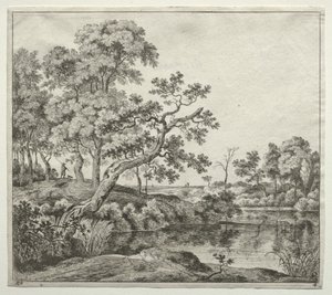 Der gebogene Baum