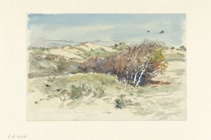 Dünenlandschaft zwischen Bloemendaal und IJmuiden von Jan Hoynck van Papendrecht