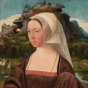 Porträt einer unbekannten Frau von Jan Jansz Mostaert