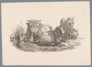 Kuh, Widder und zwei Schafe (Beesten Studien door J. Kobell naar Paul Potter Nr. 1) von Jan Kobell (III)