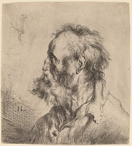 Büste eines bärtigen alten Mannes von Jan Lievens