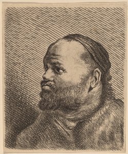 Büste eines Mannes mit dicken Lippen von Jan Lievens
