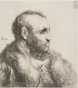 Büste eines alten Mannes von Jan Lievens