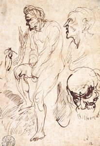 Studien nach dem Modell von Jan Lievens