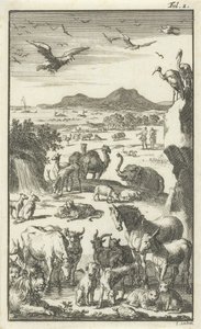 Die Schöpfung von Jan Luyken