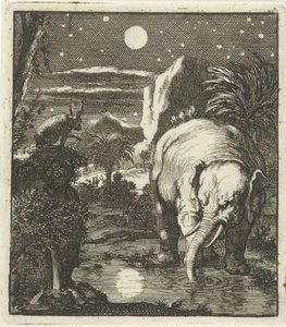 Hase und Elefant mit Vollmond an einer Wasserquelle von Jan Luyken