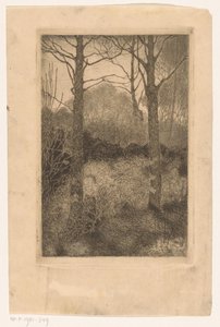 Waldrand von Jan Mankes