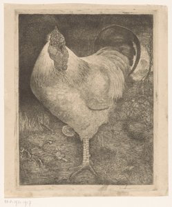 Hahn auf einem Bein von Jan Mankes