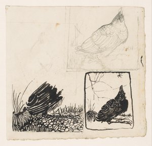 Krähe, die zu einem Mückchen hinaufschaut von Jan Mankes