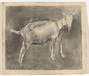 Stehende Ziege von Jan Mankes