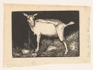 Weiße Ziege von Jan Mankes