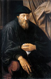 Porträt eines alten Mannes (wahrscheinlich Andrea Doria) von Jan Massys or Metsys
