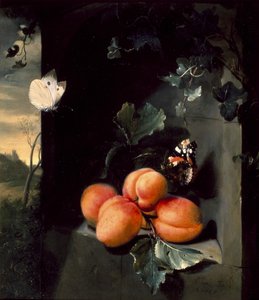 Stillleben mit Aprikosen und Schmetterlingen, 1683