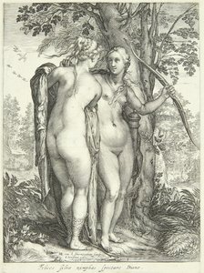 Diana und eine Nymphe bei einem Baum von Jan Saenredam