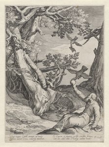 Elia wird in der Wildnis von den Raben gefüttert von Jan Saenredam