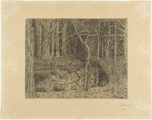 Wald mit einem Teich und Schwänen
