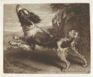 Rennender Hund, möglicherweise ein Spaniel