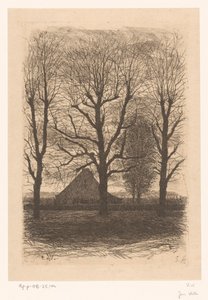 Bauernhof zwischen hohen Bäumen, Ewijkshoeve