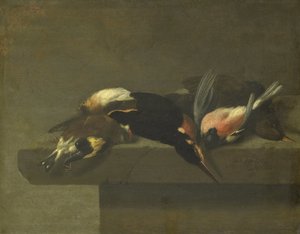 Tote Vögel