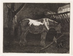 Pferd im Stall von Johannes Martinus Vrolijk