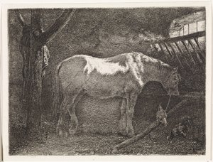 Pferd im Stall von Johannes Martinus Vrolijk