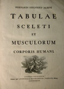 Albinus I, Titelseite, aus 