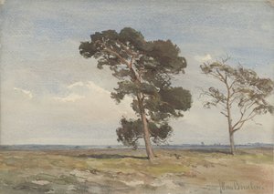 Blick auf die Heide mit zwei Bäumen von Jan Willem van Borselen