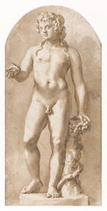Junger Bacchus stehend